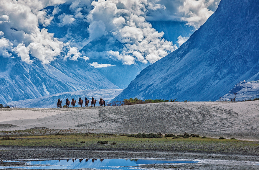 Nubra Valley Leh